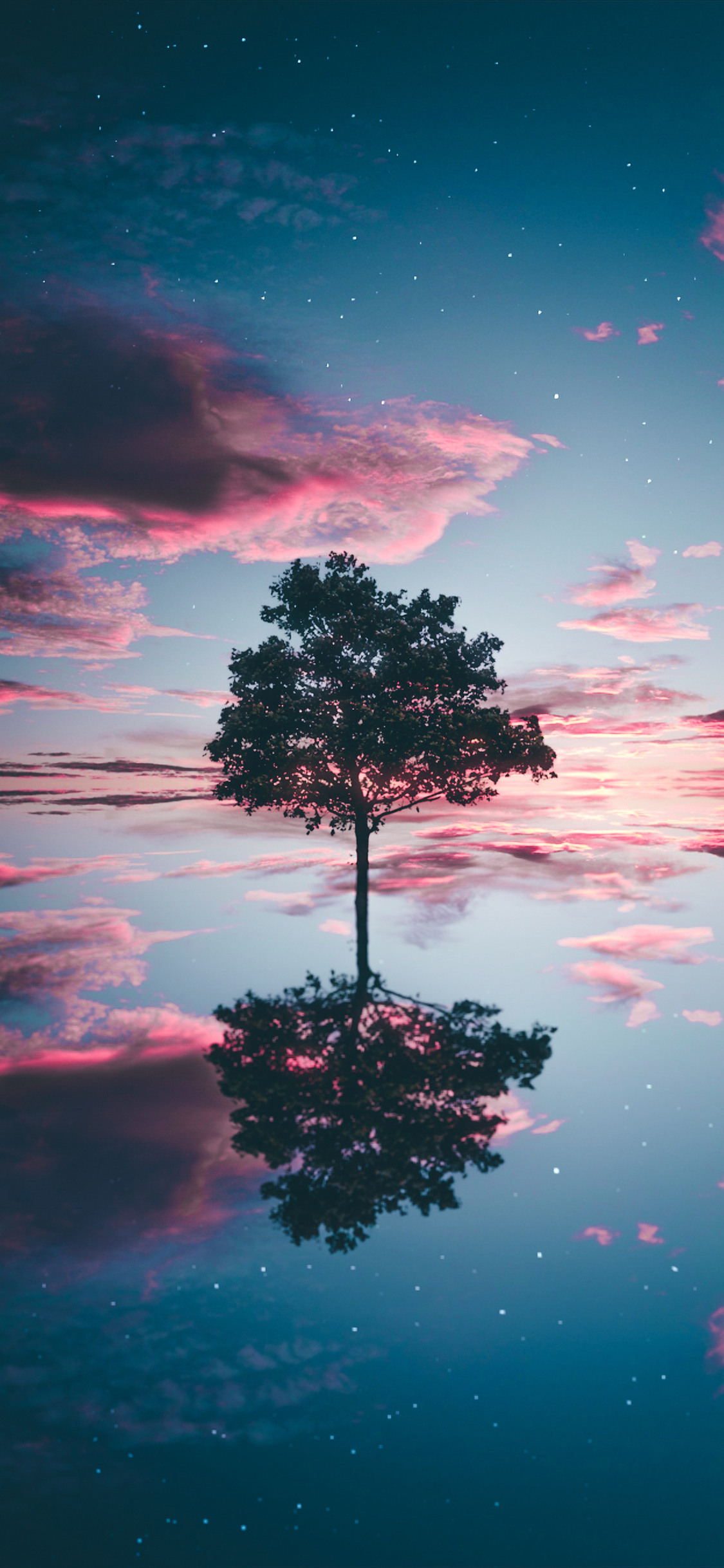 [2436×1125]倒影 树木 天空 云朵 对称 苹果手机壁纸图片