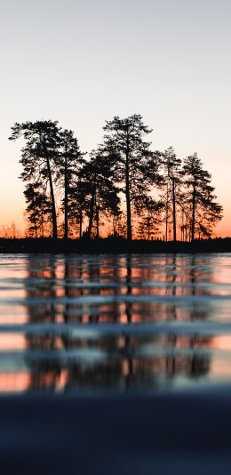 [2436x1125]倒影 树木 湖水 黄昏 对称 苹果手机壁纸图片
