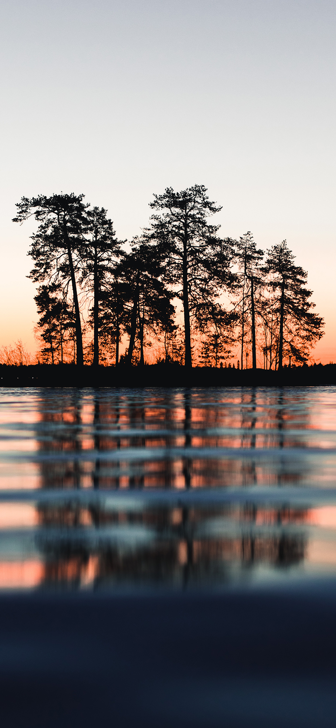 [2436×1125]倒影 树木 湖水 黄昏 对称 苹果手机壁纸图片