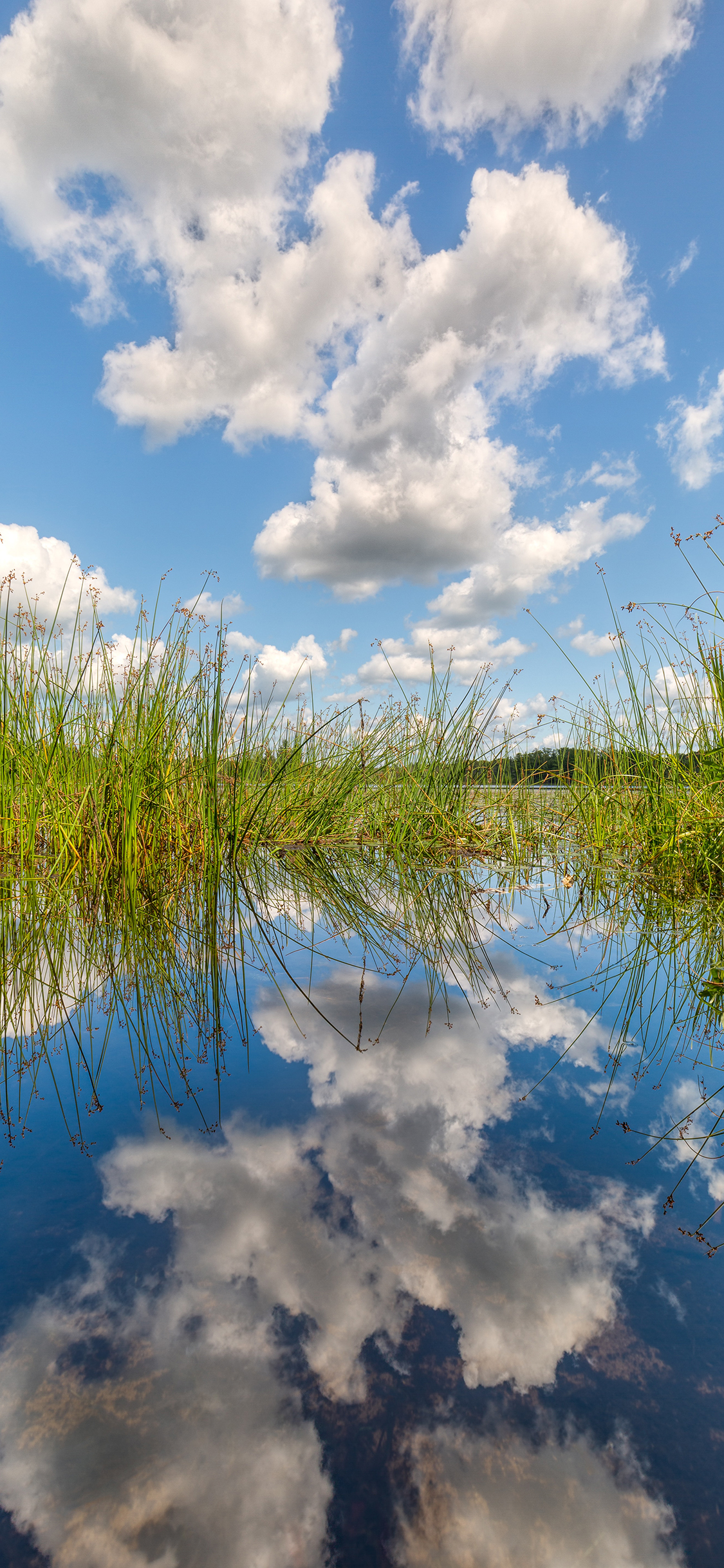 [2436×1125]倒映 天空 水面 蓝天白云 苹果手机壁纸图片