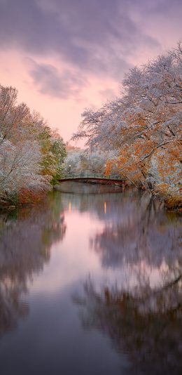 [2436x1125]倒映 水面 唯美 色调 苹果手机壁纸图片