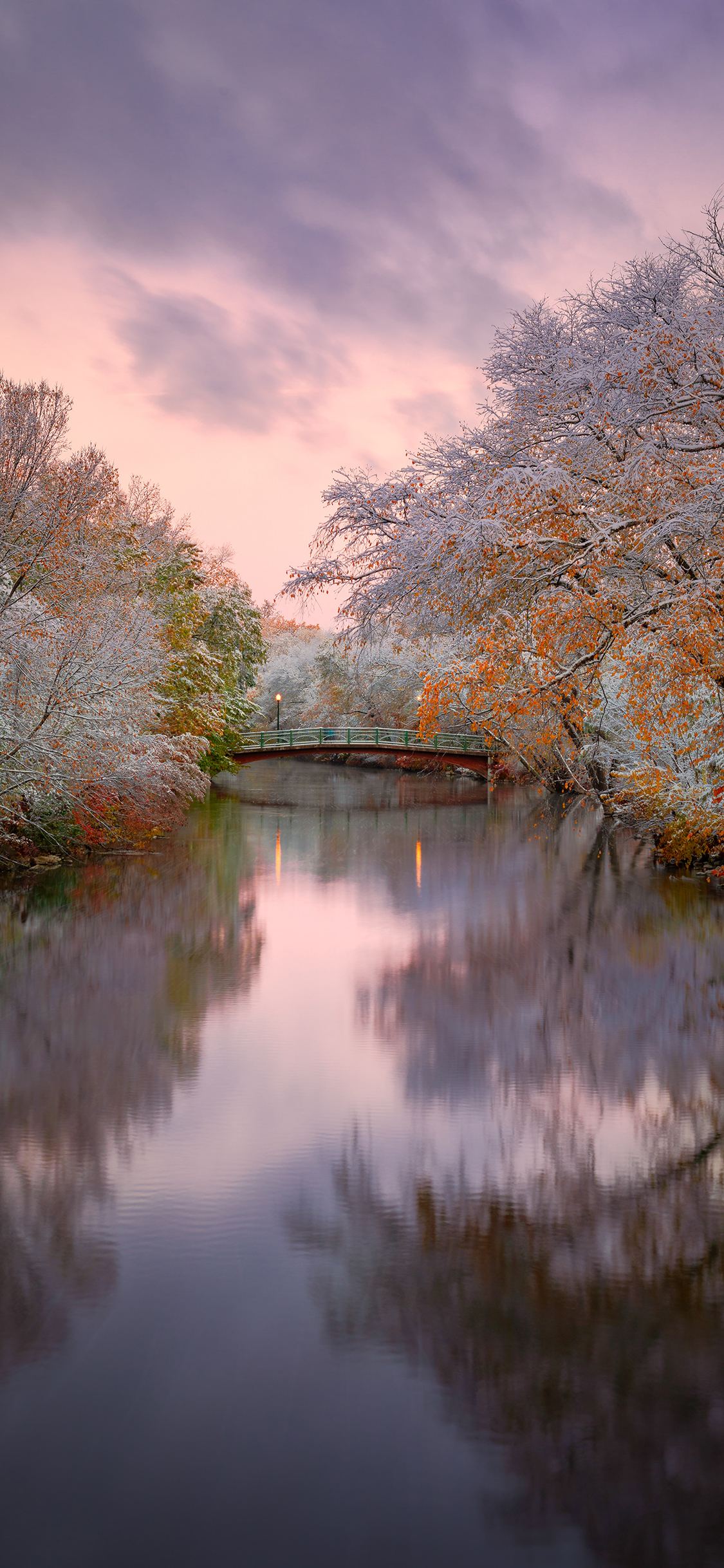[2436×1125]倒映 水面 唯美 色调 苹果手机壁纸图片