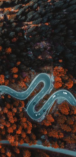 [2436x1125]公路 盘山 山路 弯曲 苹果手机壁纸图片