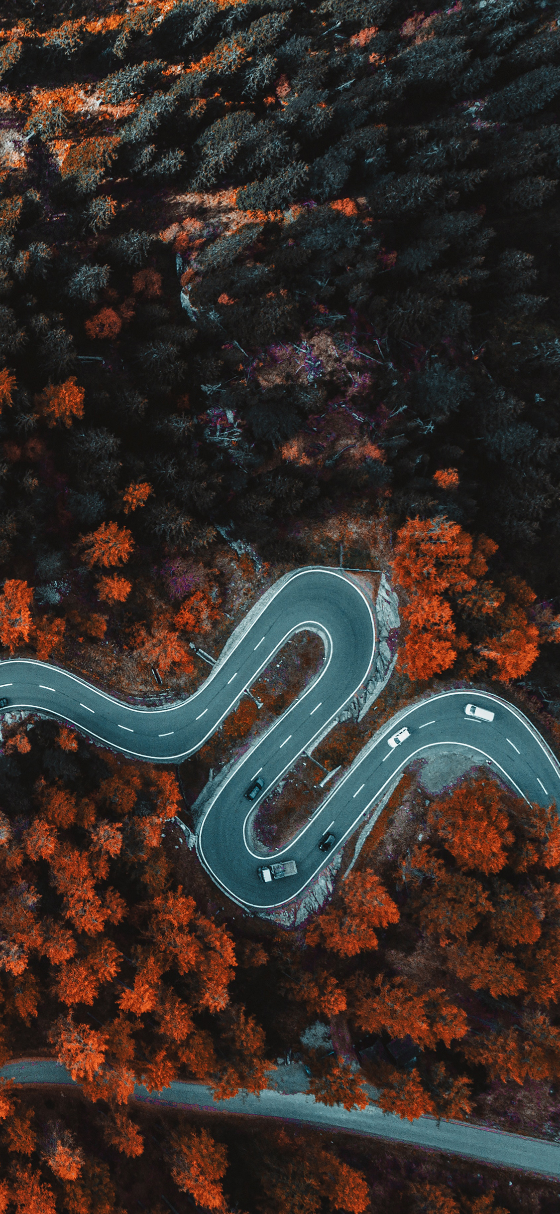 [2436×1125]公路 盘山 山路 弯曲 苹果手机壁纸图片