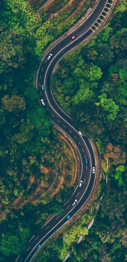 [2436x1125]公路 盘山公路 树林 茂密 俯拍 苹果手机壁纸图片