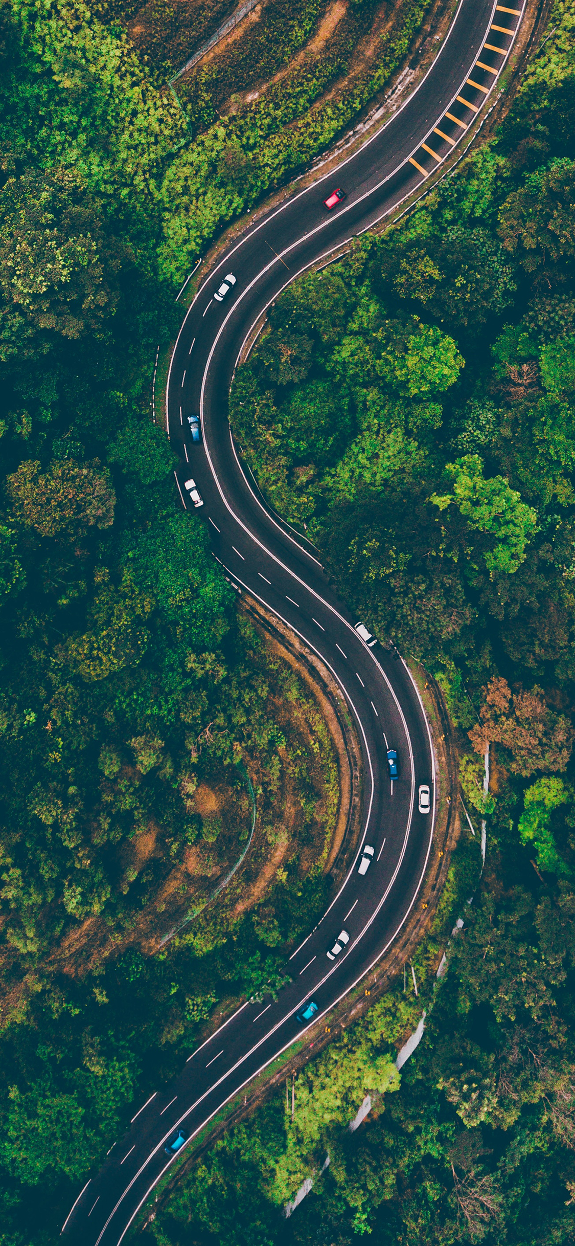 [2436×1125]公路 盘山公路 树林 茂密 俯拍 苹果手机壁纸图片
