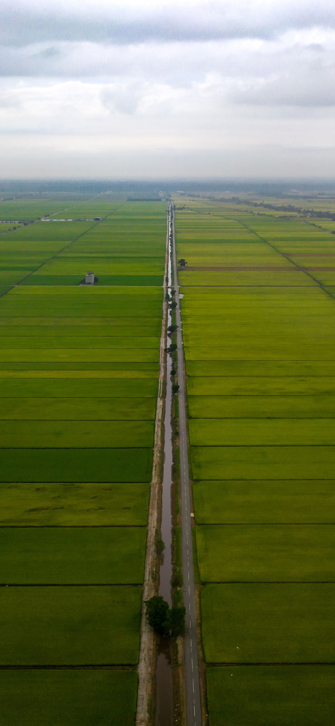 [2436×1125]农田 广阔 种植 农作物 苹果手机壁纸图片