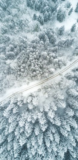 [2436x1125]冬季 冬天 雪 树木  白色 路 苹果手机壁纸图片