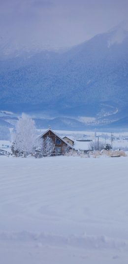 [2436x1125]冬季 白色 房屋 雪地 山 苹果手机壁纸图片