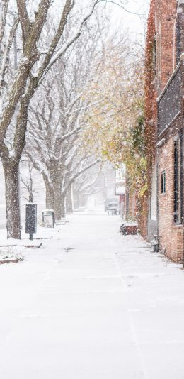 [2436x1125]冬季 街景 大雪纷飞 唯美 苹果手机壁纸图片