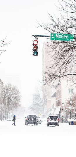 [2436x1125]冬季 街道 雪景 红绿灯 苹果手机壁纸图片