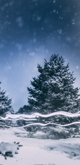 [2436x1125]冬季 郊外 雪景 树木 苹果手机壁纸图片