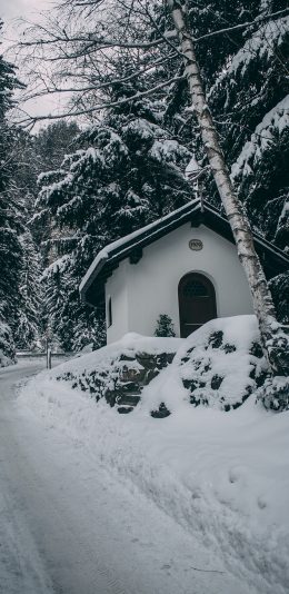 [2436x1125]冬季 雪地 小屋 树木 唯美 苹果手机壁纸图片