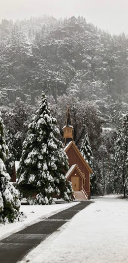 [2436x1125]冬季 雪地 木屋 塔松 唯美 苹果手机壁纸图片