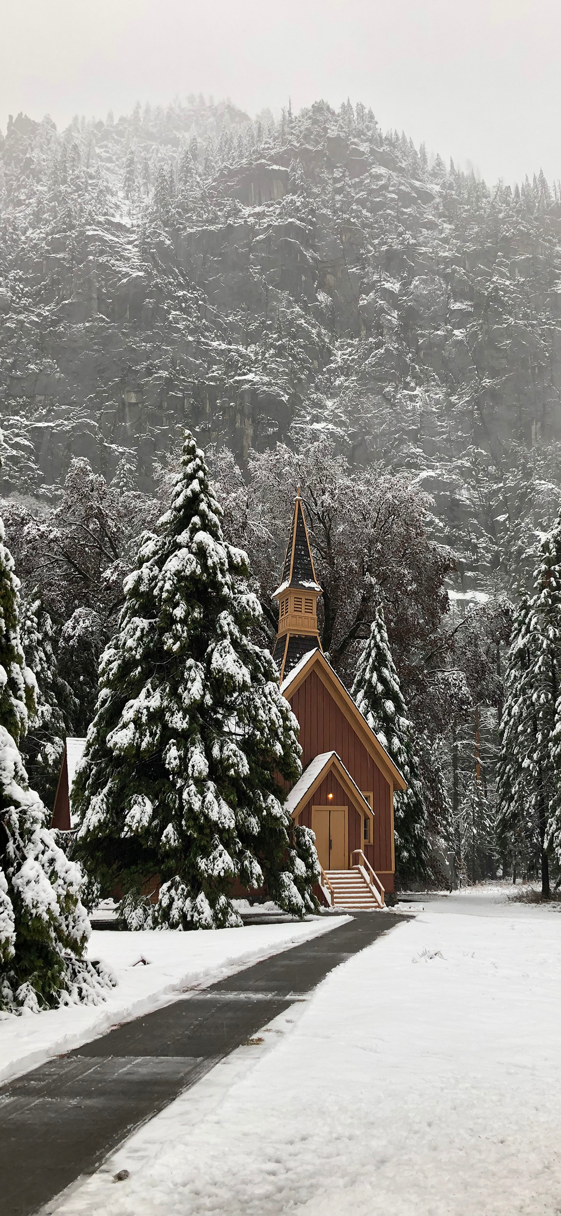 [2436×1125]冬季 雪地 木屋 塔松 唯美 苹果手机壁纸图片