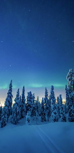 [2436x1125]冬季 雪地 树木 极光 美景 苹果手机壁纸图片