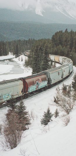 [2436x1125]冬季 雪地 植被 火车 苹果手机壁纸图片