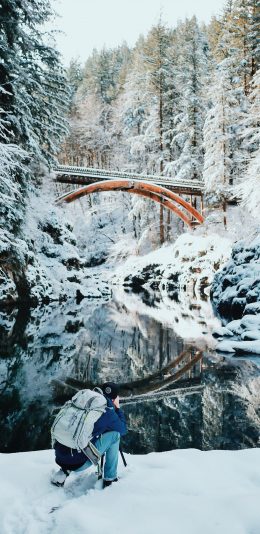 [2436x1125]冬季 雪地 湖泊 树木 白色 苹果手机壁纸图片