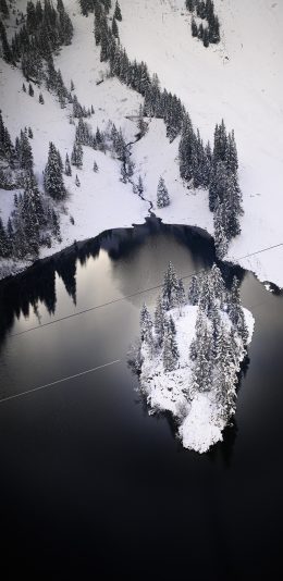 [2436x1125]冬季 雪地 白雪覆盖 树木 湖泊 苹果手机壁纸图片