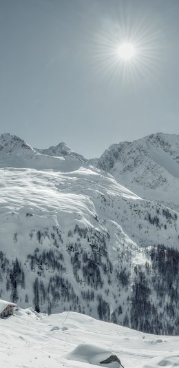 [2436x1125]冬季 雪地 美景 太阳 唯美 苹果手机壁纸图片