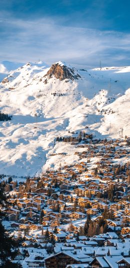[2436x1125]冬季 雪地 雪景 房屋 密集 苹果手机壁纸图片