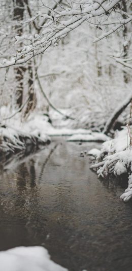 [2436x1125]冬季 雪景 树木 河流 苹果手机壁纸图片