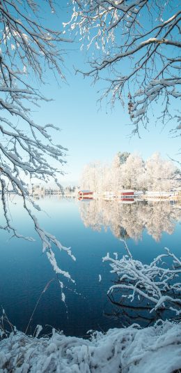 [2436x1125]冬季 雪景 树枝 胡泊 苹果手机壁纸图片