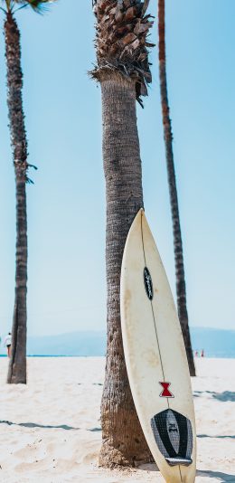 [2436x1125]冲浪板 冲浪 椰树 海边 苹果手机壁纸图片