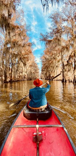[2436x1125]划船 船桨 水面 湖面 背影 苹果手机壁纸图片