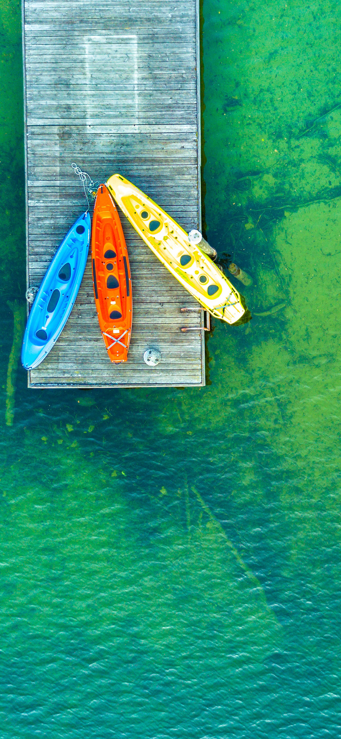 [2436×1125]划艇 色彩 码头 海水 苹果手机壁纸图片