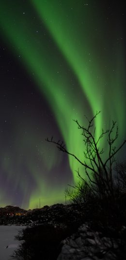 [2436x1125]北极 夜景 极光 梦幻 苹果手机壁纸图片