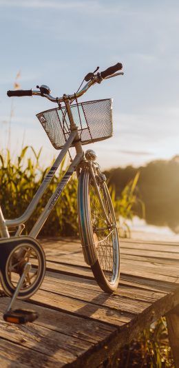 [2436x1125]单车 自行车 郊外 木栈道 阳光 苹果手机壁纸图片