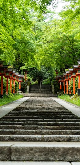[2436x1125]台阶 阶梯 树木 景点 苹果手机壁纸图片