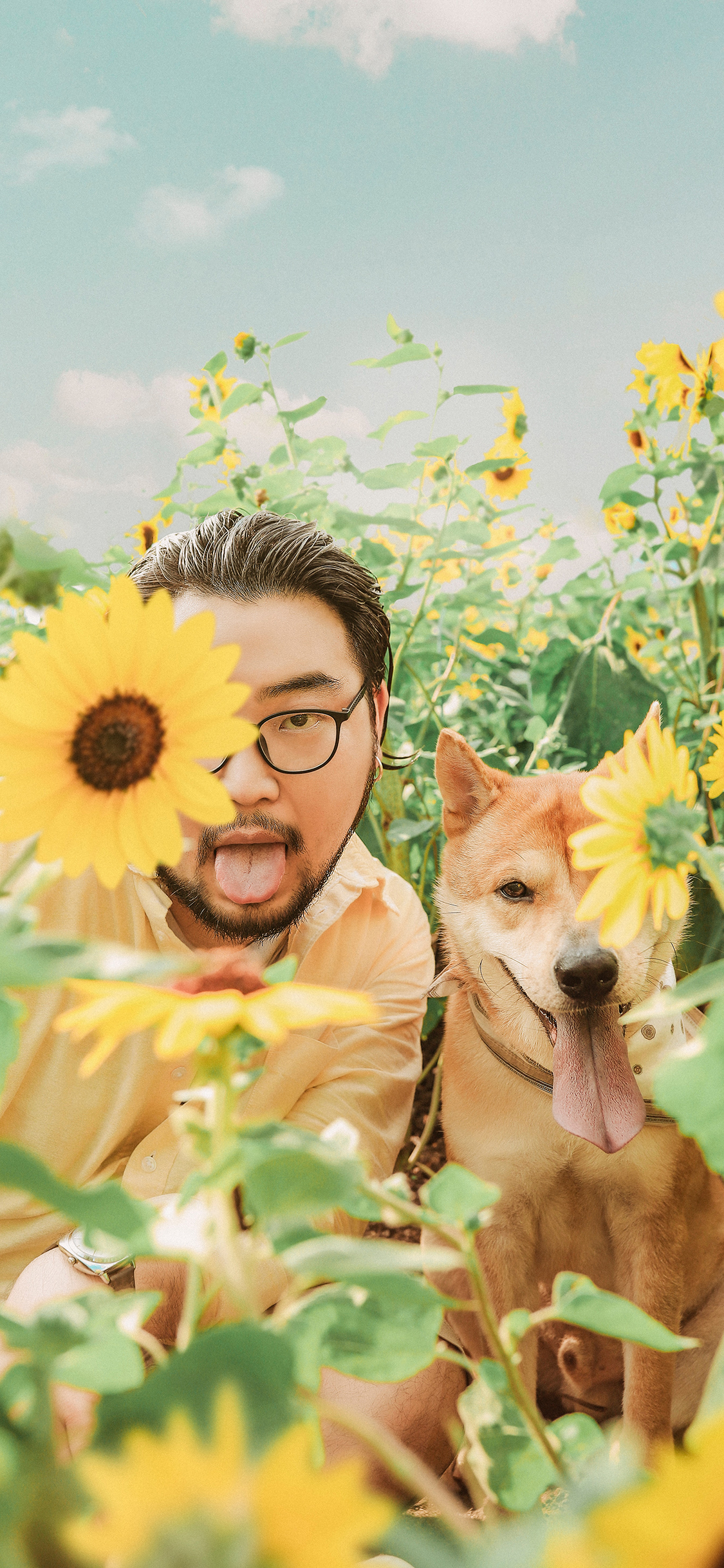 [2436×1125]向日葵 葵花 狗 宠物 苹果手机壁纸图片