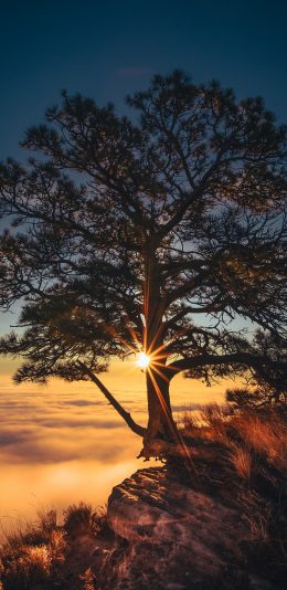 [2436x1125]唯美 夕阳 光照 高山 云海 苹果手机壁纸图片