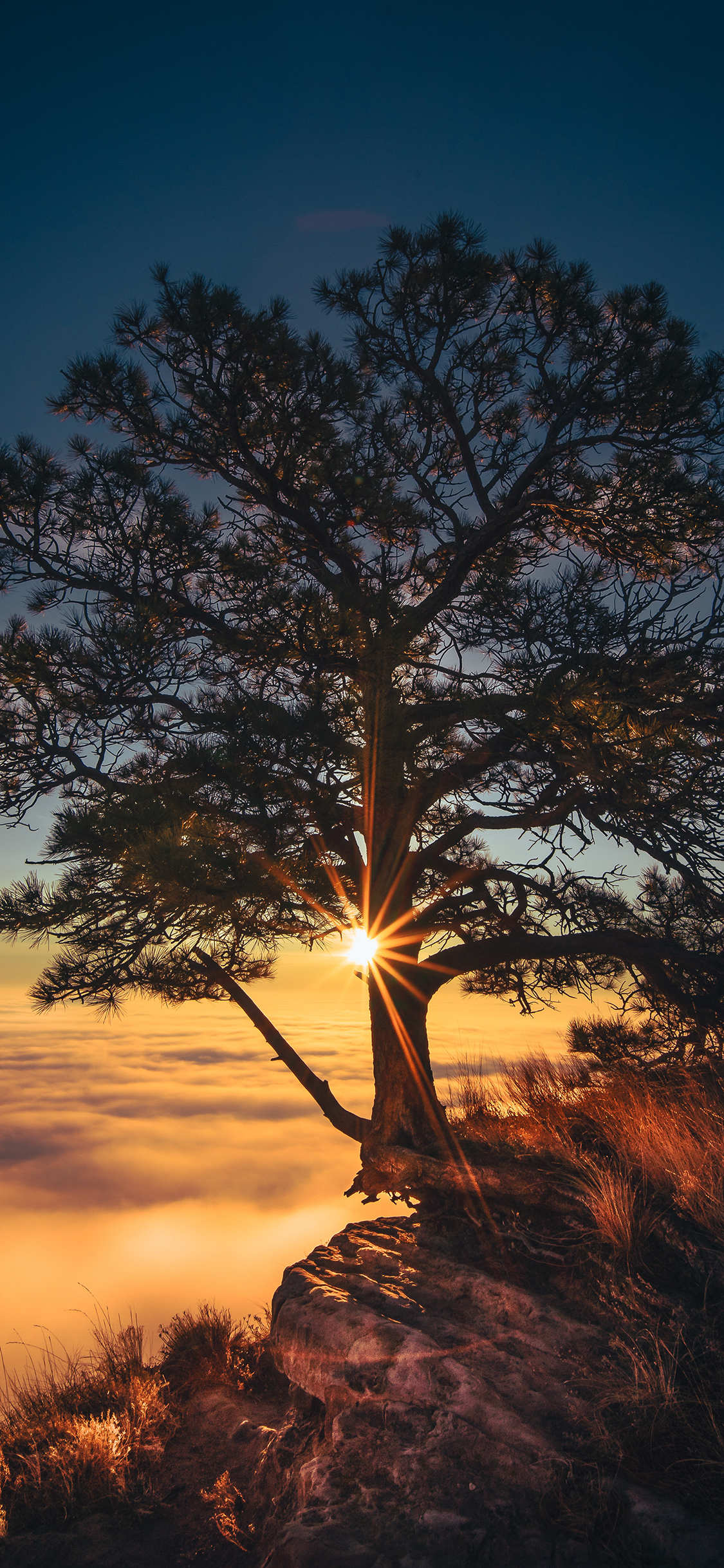 [2436×1125]唯美 夕阳 光照 高山 云海 苹果手机壁纸图片