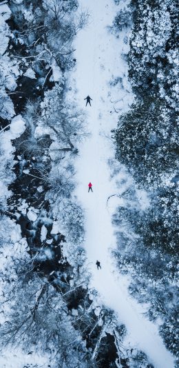 [2436x1125]唯美雪景 俯拍 树木 白雪覆盖 道路 苹果手机壁纸图片