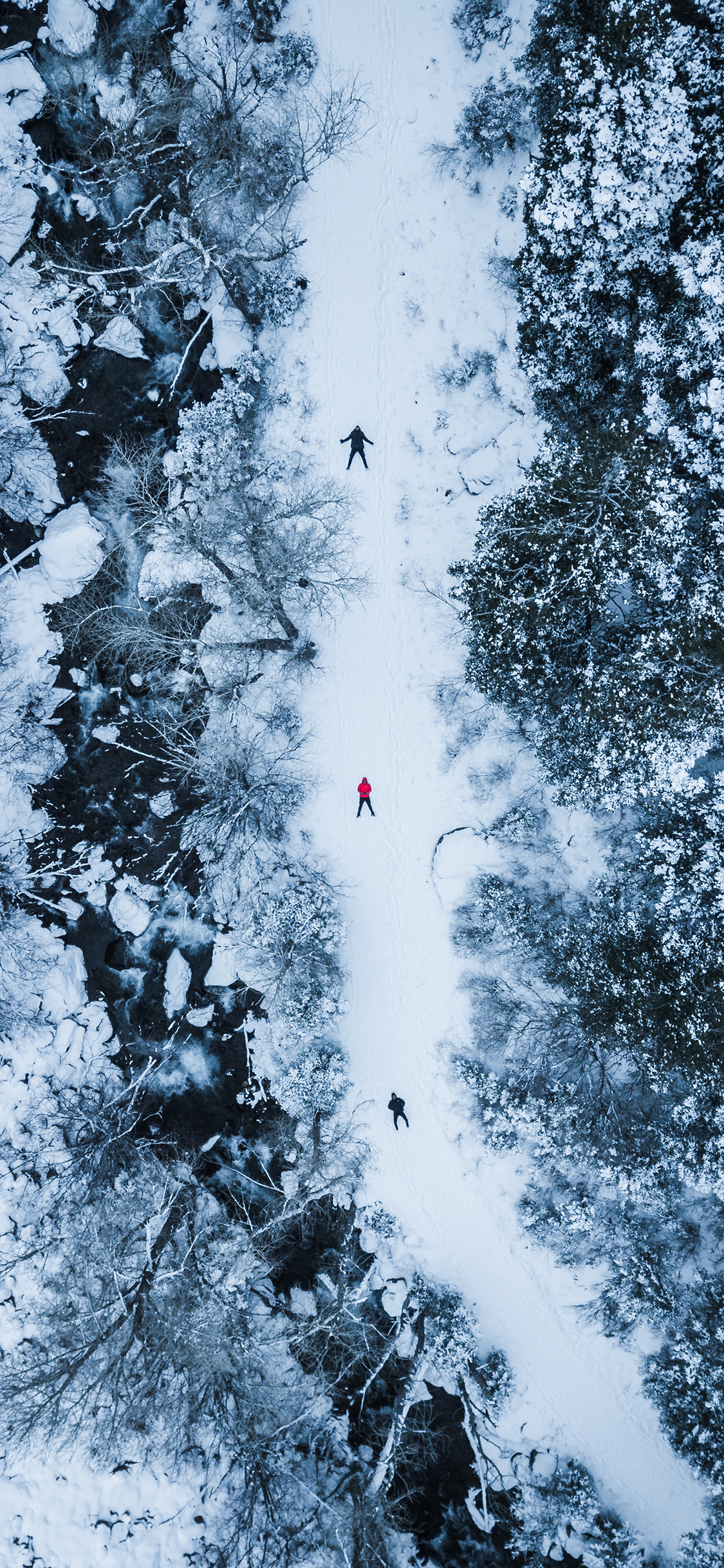 [2436×1125]唯美雪景 俯拍 树木 白雪覆盖 道路 苹果手机壁纸图片