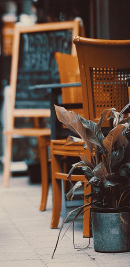 [2436x1125]商店 桌椅 街道 盆栽 苹果手机壁纸图片