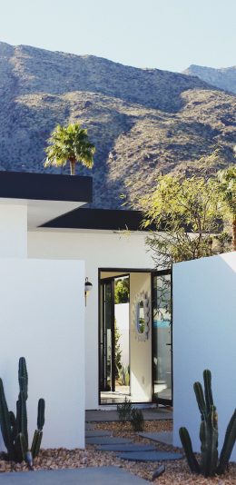 [2436x1125]园区 仙人掌 风景 山峰 苹果手机壁纸图片