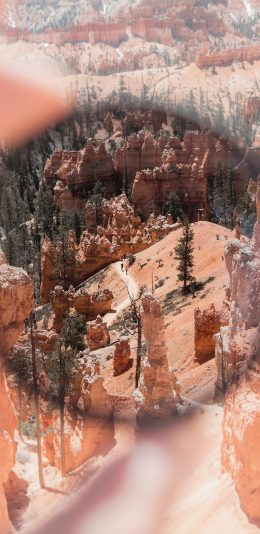 [2436x1125]圆圈 山峰 树木 自然 苹果手机壁纸图片