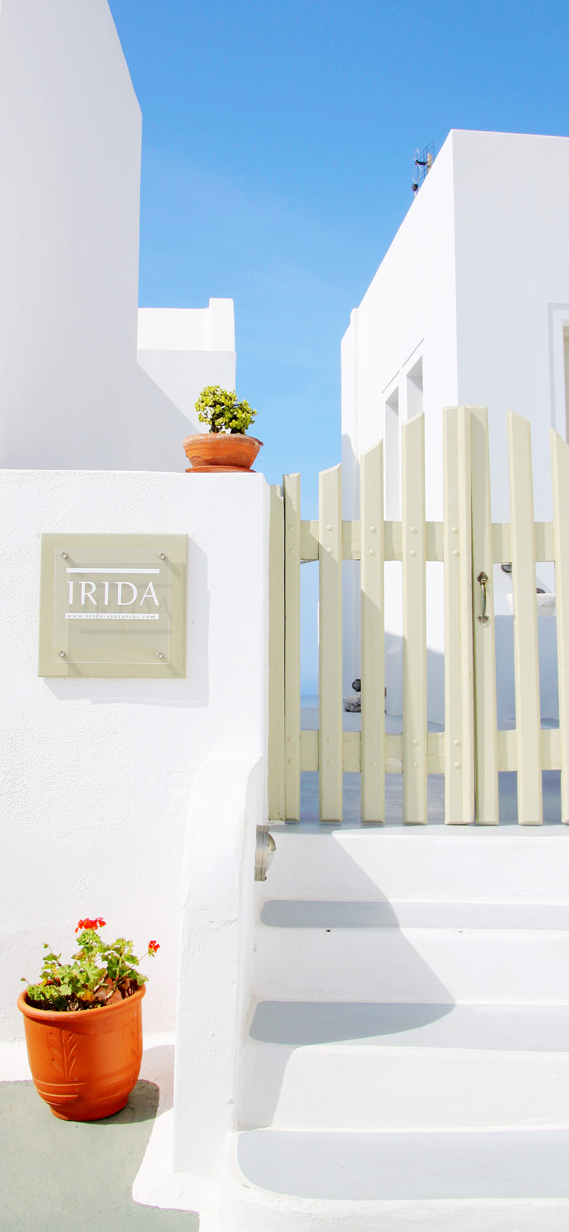 [2436×1125]圣托里尼 建筑 爱情海 希腊 蓝白 浪漫 苹果手机壁纸图片