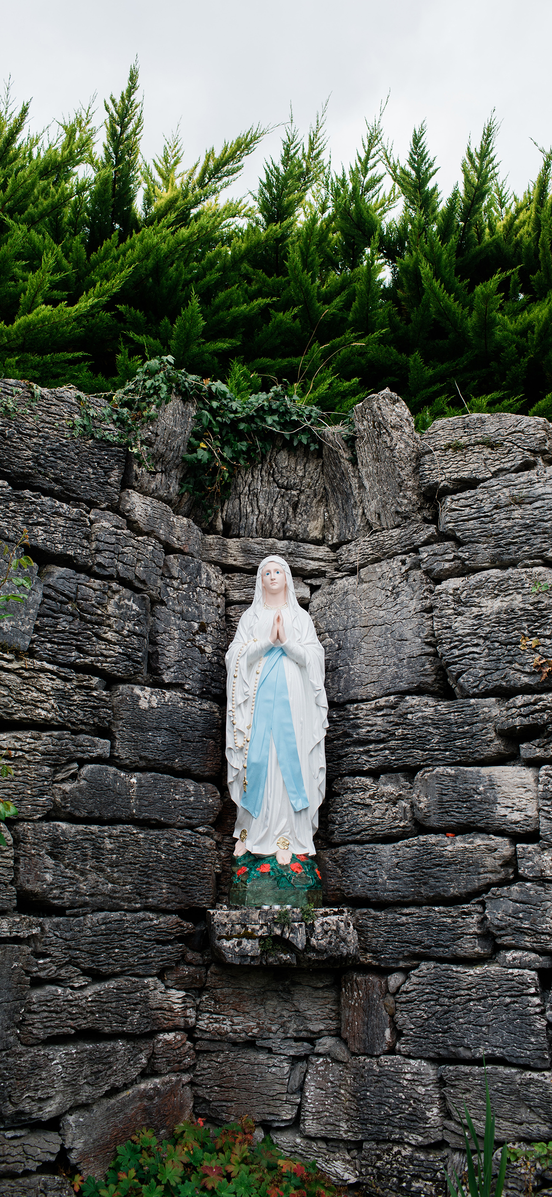 [2436×1125]圣母像 摆摄 信仰 绿植 苹果手机壁纸图片