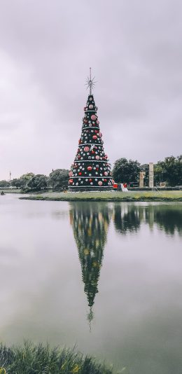 [2436x1125]圣诞树 湖面 倒映 装饰 苹果手机壁纸图片