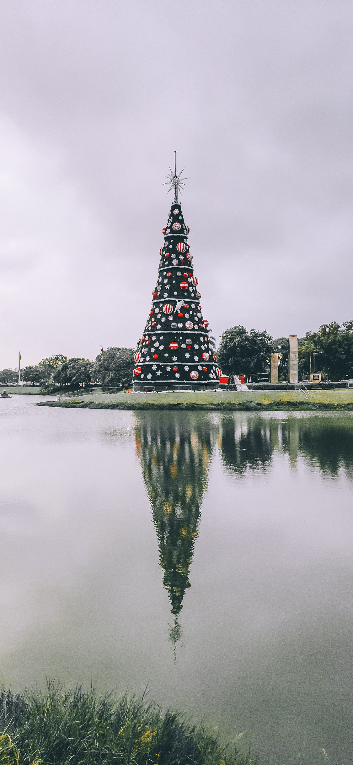 [2436×1125]圣诞树 湖面 倒映 装饰 苹果手机壁纸图片
