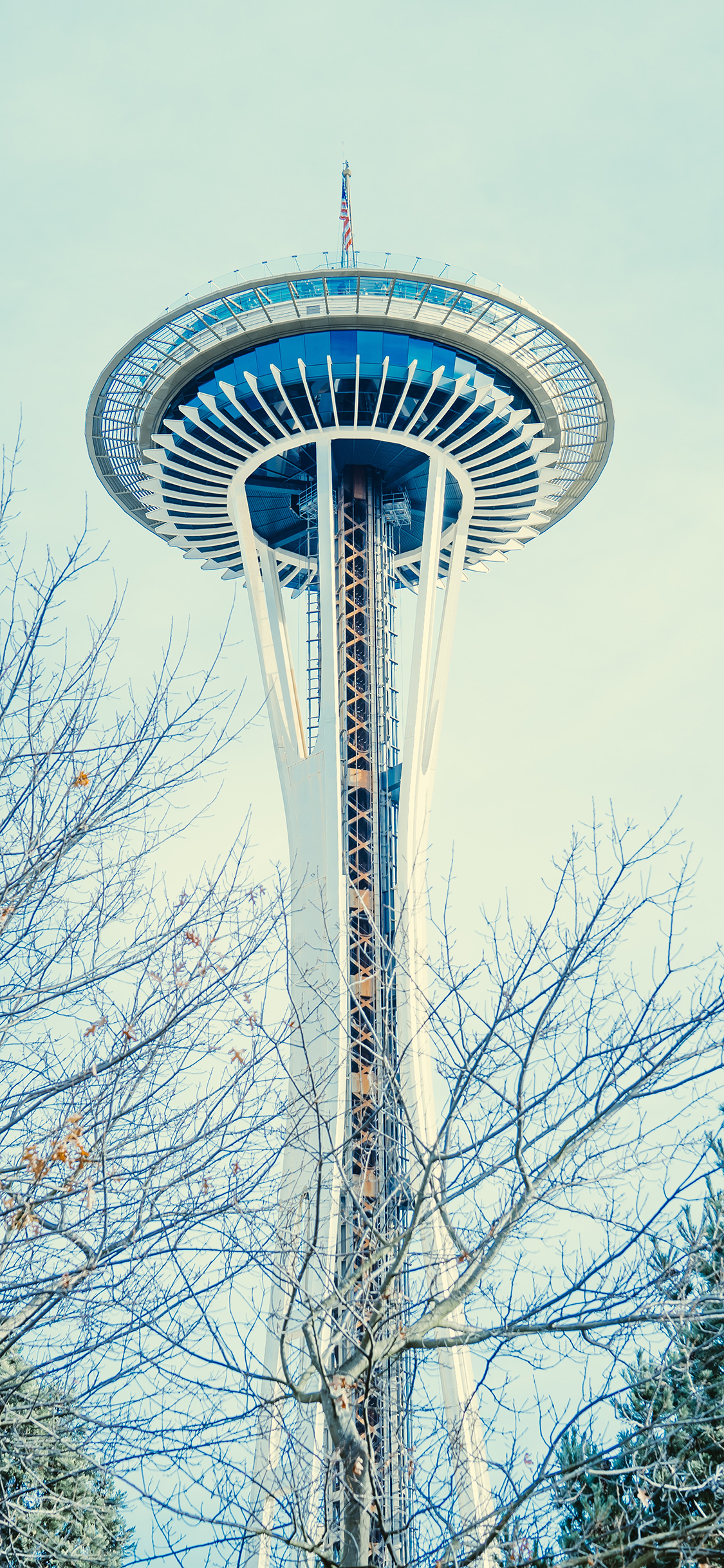[2436×1125]地标 树干 设计 建筑 苹果手机壁纸图片