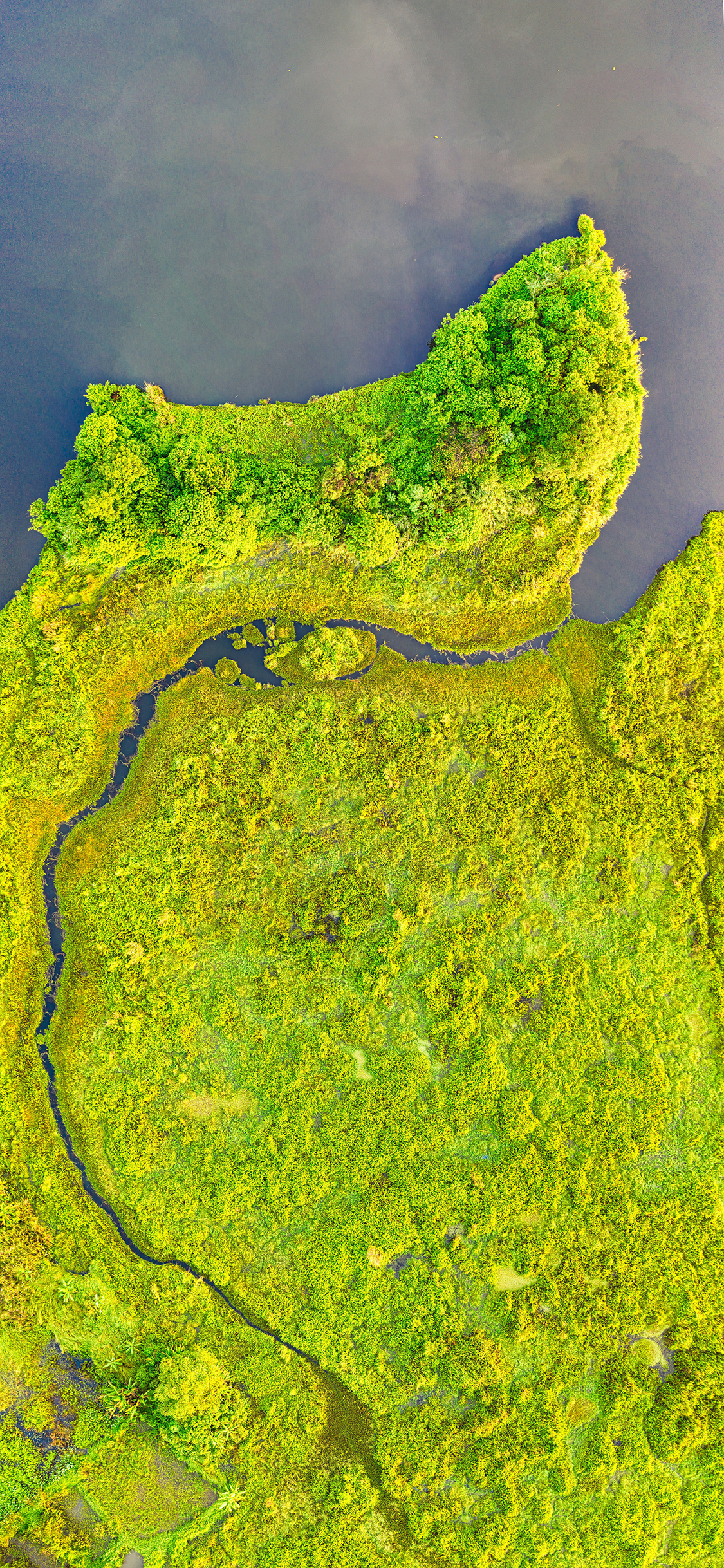 [2436×1125]地貌 绿色 树木 河流 大自然 苹果手机壁纸图片