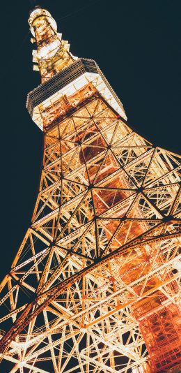 [2436x1125]埃菲尔铁塔 景点 景观 夜晚 光亮 苹果手机壁纸图片