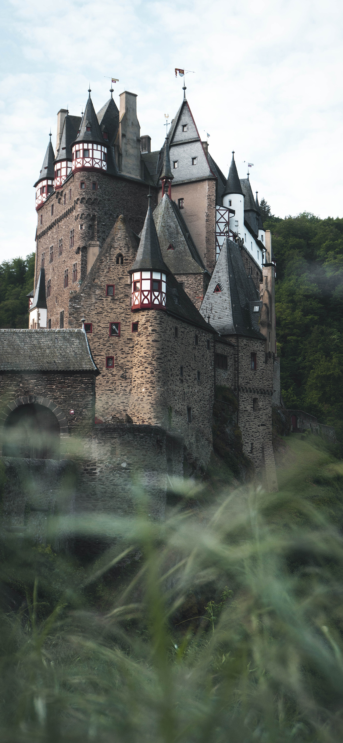 [2436×1125]城堡 建筑 半山腰 树林 苹果手机壁纸图片
