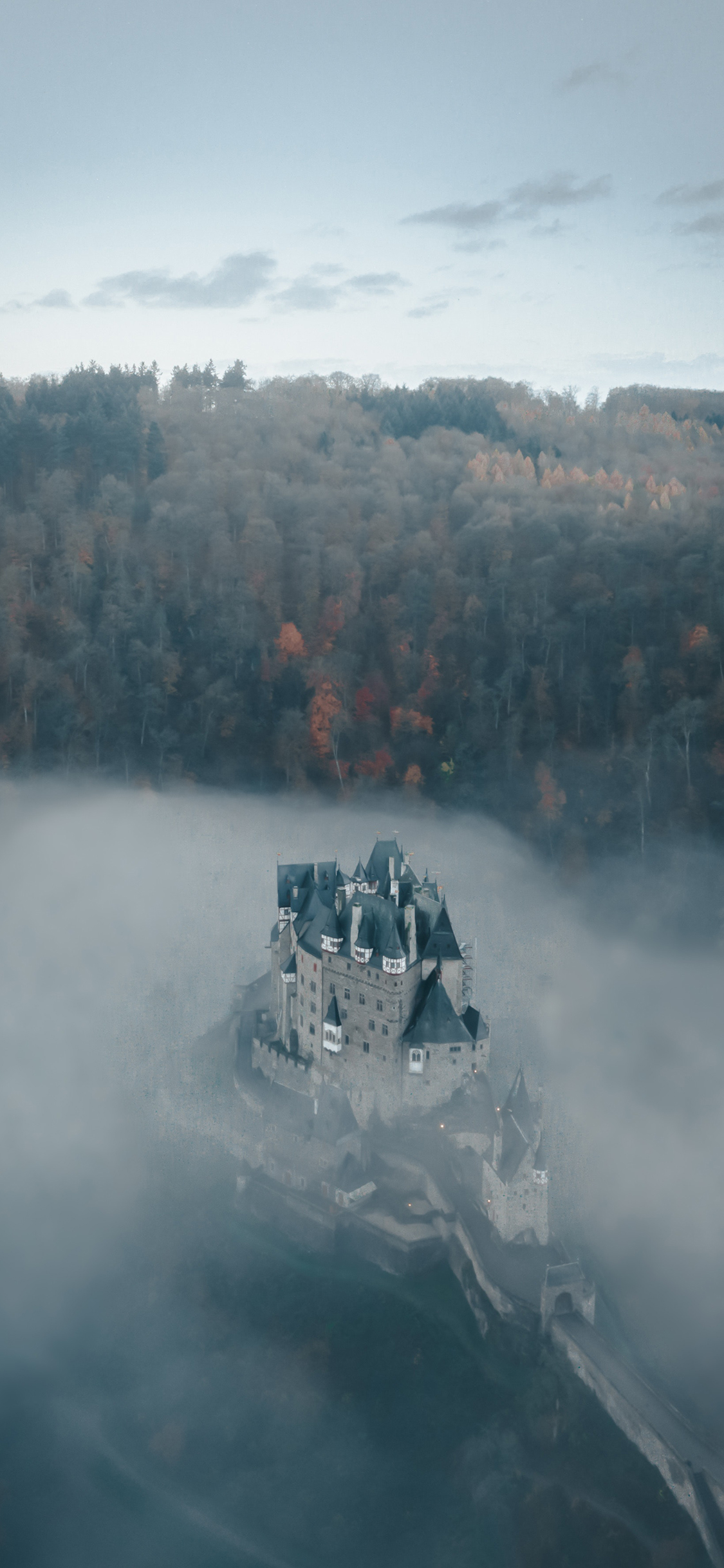 [2436×1125]城堡 树林 独秀一枝 俯拍 苹果手机壁纸图片